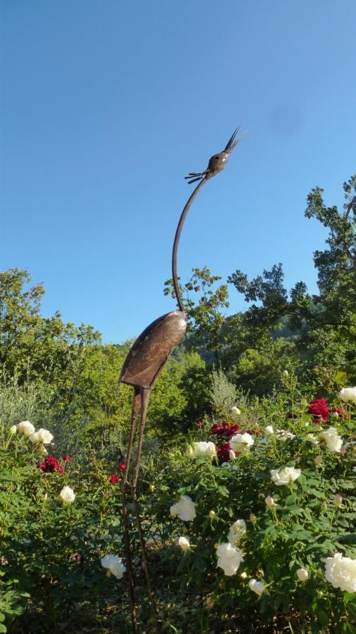 Le Vallon Des Oliviers Montauroux Esterno foto