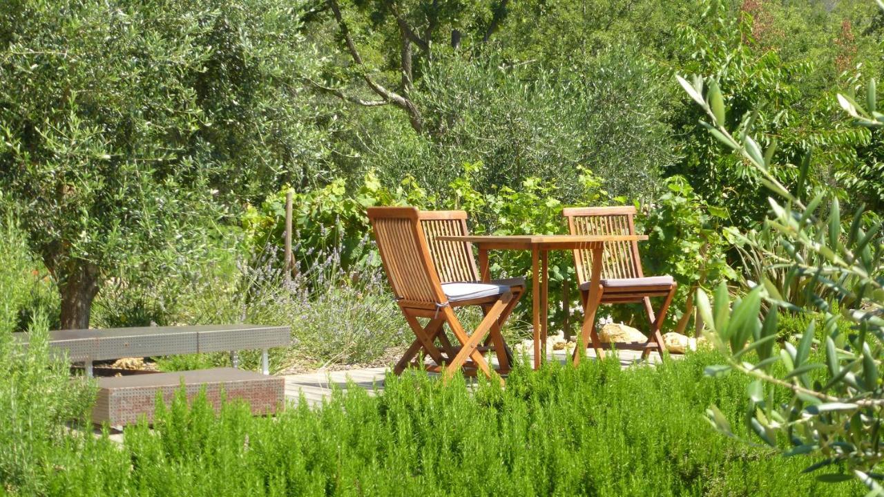 Le Vallon Des Oliviers Montauroux Esterno foto